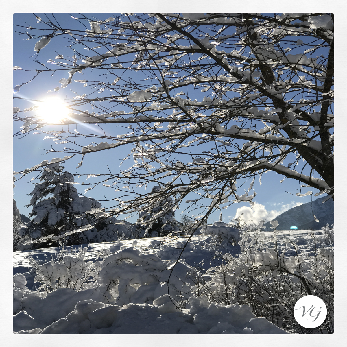 la neve del Trentino per Vacanze di Natale
